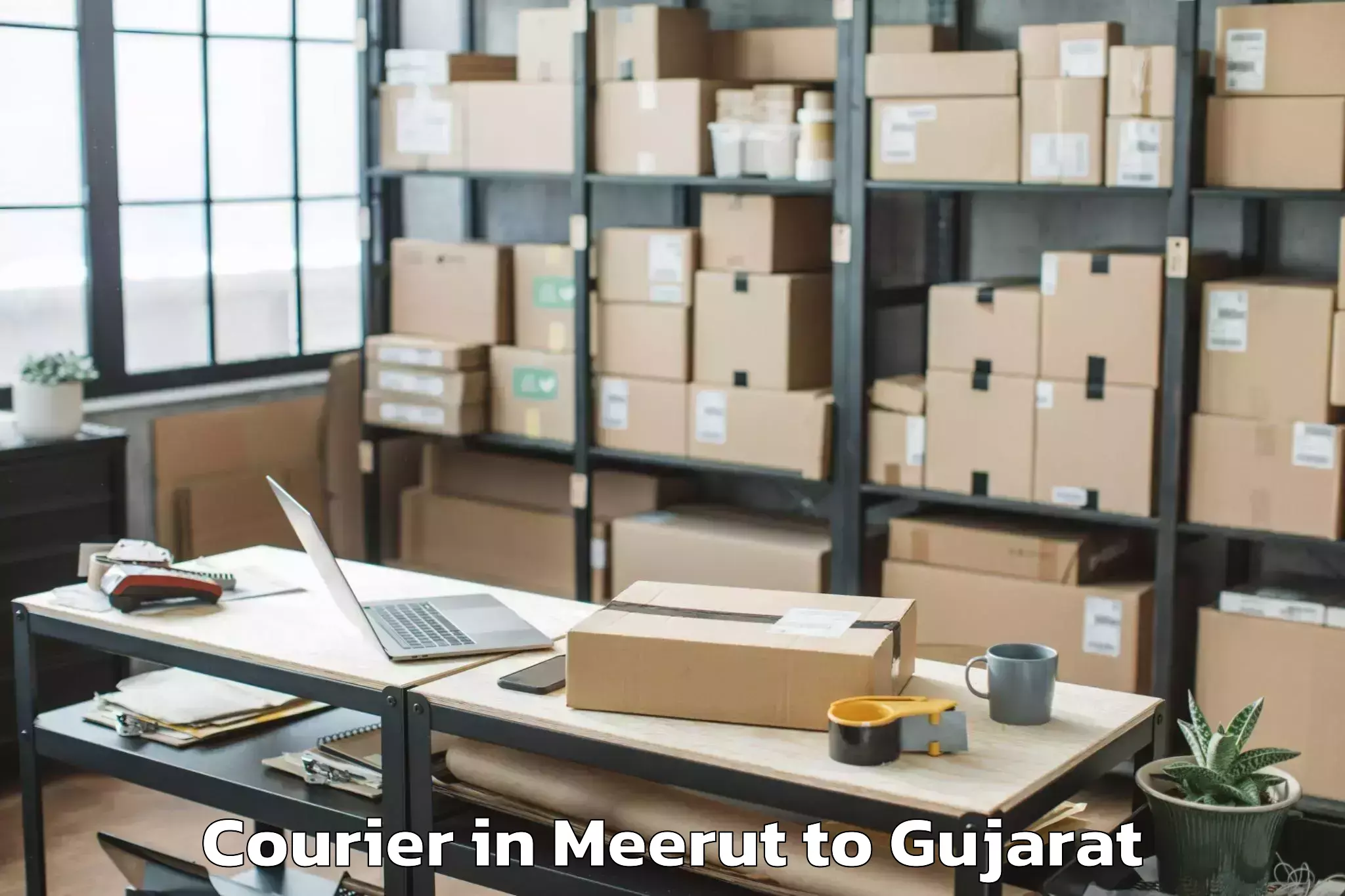 Quality Meerut to Kandla Port Courier